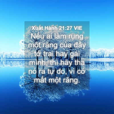 Picture 04 - Xuất Hành 21:27 VIE - Nếu ai làm rụng một răng của đầy - Bible Verse Picture
