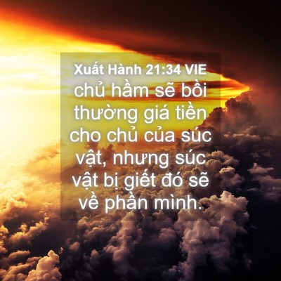 Picture 04 - Xuất Hành 21:34 VIE - chủ hầm sẽ bồi thường giá tiền cho - Bible Verse Picture