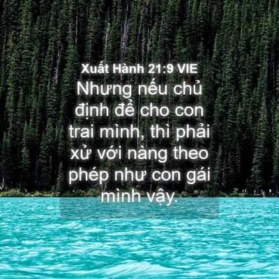 Picture 04 - Xuất Hành 21:9 VIE - Nhưng nếu chủ định để cho con trai - Bible Verse Picture