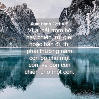 Picture 04 - Xuất Hành 22:1 VIE - Ví ai bắt trộm bò hay chiên, rồi giết - Bible Verse Picture