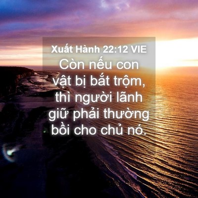 Picture 04 - Xuất Hành 22:12 VIE - Còn nếu con vật bị bắt trộm, thì - Bible Verse Picture