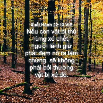 Picture 04 - Xuất Hành 22:13 VIE - Nếu con vật bị thú rừng xé chết, - Bible Verse Picture