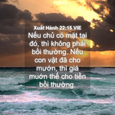 Picture 04 - Xuất Hành 22:15 VIE - Nếu chủ có mặt tại đó, thì không - Bible Verse Picture