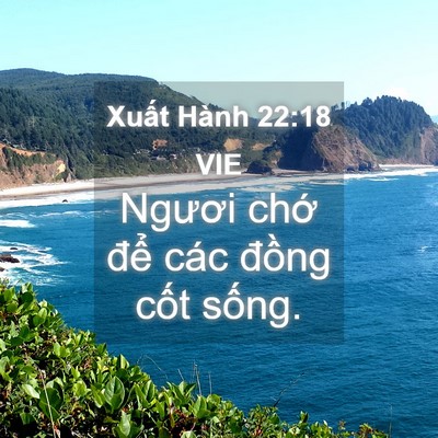 Picture 04 - Xuất Hành 22:18 VIE - Ngươi chớ để các đồng cốt - Bible Verse Picture