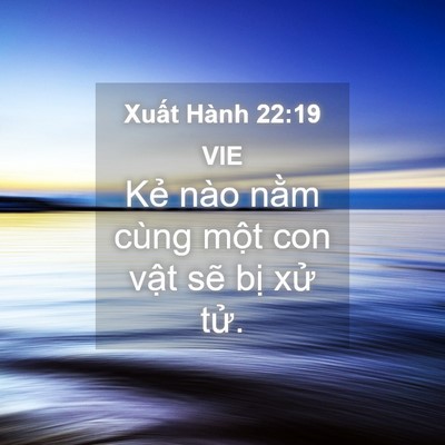 Picture 04 - Xuất Hành 22:19 VIE - Kẻ nào nằm cùng một con vật sẽ bị - Bible Verse Picture