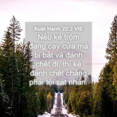 Picture 04 - Xuất Hành 22:2 VIE - Nếu kẻ trộm đang cạy cửa mà bị - Bible Verse Picture