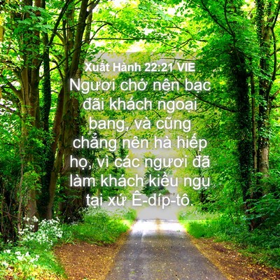 Picture 04 - Xuất Hành 22:21 VIE - Ngươi chớ nên bạc đãi khách ngoại - Bible Verse Picture