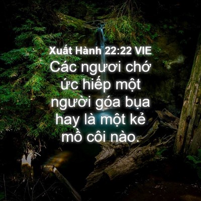 Picture 04 - Xuất Hành 22:22 VIE - Các ngươi chớ ức hiếp một người - Bible Verse Picture