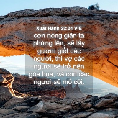 Picture 04 - Xuất Hành 22:24 VIE - cơn nóng giận ta phừng lên, sẽ lấy - Bible Verse Picture