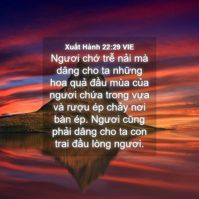 Picture 04 - Xuất Hành 22:29 VIE - Ngươi chớ trễ nải mà dâng cho ta - Bible Verse Picture
