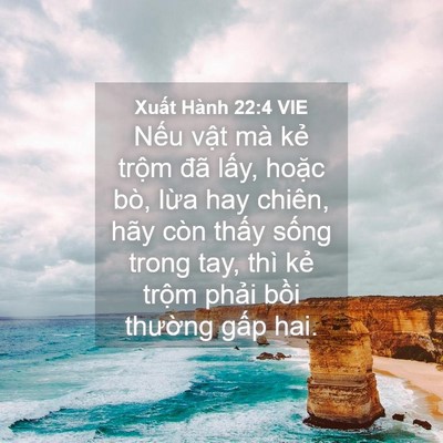 Picture 04 - Xuất Hành 22:4 VIE - Nếu vật mà kẻ trộm đã lấy, hoặc - Bible Verse Picture