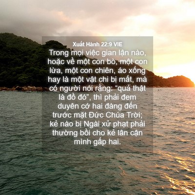 Picture 04 - Xuất Hành 22:9 VIE - Trong mọi việc gian lận nào, hoặc về - Bible Verse Picture