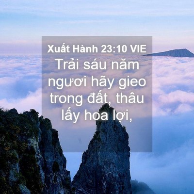 Picture 04 - Xuất Hành 23:10 VIE - Trải sáu năm ngươi hãy gieo trong đất, - Bible Verse Picture