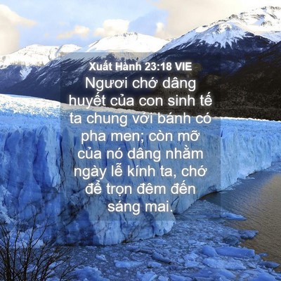 Picture 04 - Xuất Hành 23:18 VIE - Ngươi chớ dâng huyết của con sinh tế - Bible Verse Picture