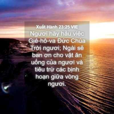 Picture 04 - Xuất Hành 23:25 VIE - Ngươi hãy hầu việc Giê-hô-va Đức - Bible Verse Picture