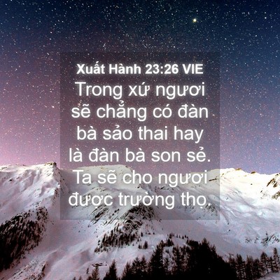 Picture 04 - Xuất Hành 23:26 VIE - Trong xứ ngươi sẽ chẳng có đàn bà - Bible Verse Picture
