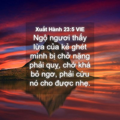 Picture 04 - Xuất Hành 23:5 VIE - Ngộ ngươi thấy lừa của kẻ ghét mình - Bible Verse Picture