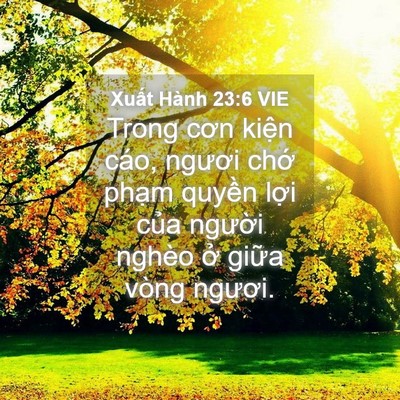 Picture 04 - Xuất Hành 23:6 VIE - Trong cơn kiện cáo, ngươi chớ phạm - Bible Verse Picture