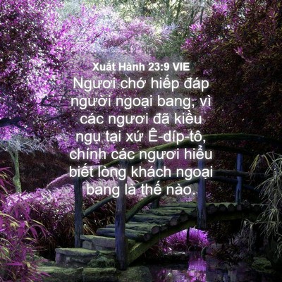 Picture 04 - Xuất Hành 23:9 VIE - Ngươi chớ hiếp đáp người ngoại bang, - Bible Verse Picture