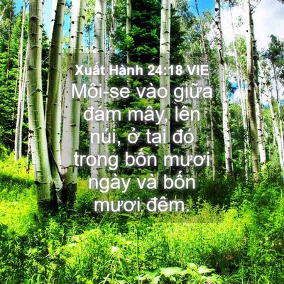 Picture 04 - Xuất Hành 24:18 VIE - Môi-se vào giữa đám mây, lên núi, ở - Bible Verse Picture