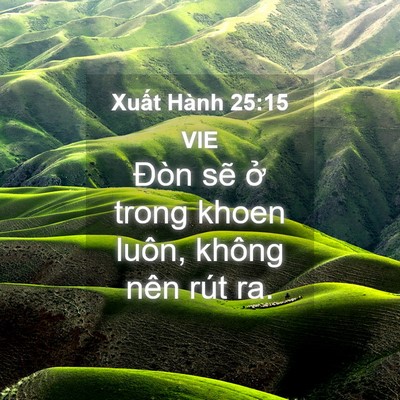 Picture 04 - Xuất Hành 25:15 VIE - Đòn sẽ ở trong khoen luôn, không nên - Bible Verse Picture