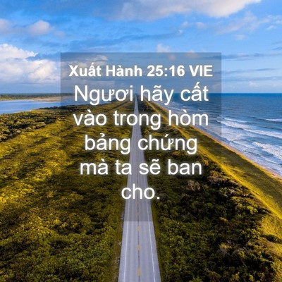 Picture 04 - Xuất Hành 25:16 VIE - Ngươi hãy cất vào trong hòm bảng chứng - Bible Verse Picture