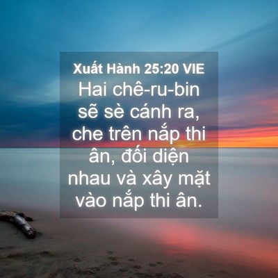 Picture 04 - Xuất Hành 25:20 VIE - Hai chê-ru-bin sẽ sè cánh ra, che trên - Bible Verse Picture