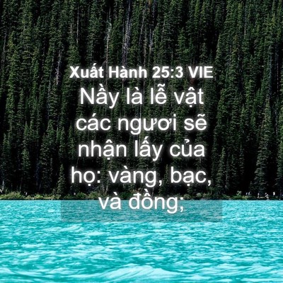 Picture 04 - Xuất Hành 25:3 VIE - Nầy là lễ vật các ngươi sẽ nhận - Bible Verse Picture