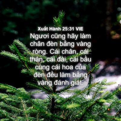 Picture 04 - Xuất Hành 25:31 VIE - Ngươi cũng hãy làm chân đèn bằng vàng - Bible Verse Picture