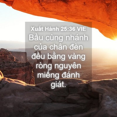 Picture 04 - Xuất Hành 25:36 VIE - Bầu cùng nhánh của chân đèn đều - Bible Verse Picture