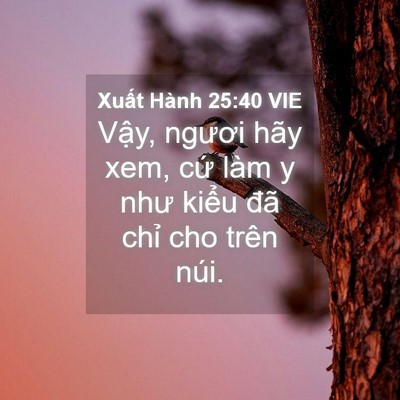 Picture 04 - Xuất Hành 25:40 VIE - Vậy, ngươi hãy xem, cứ làm y như kiểu - Bible Verse Picture