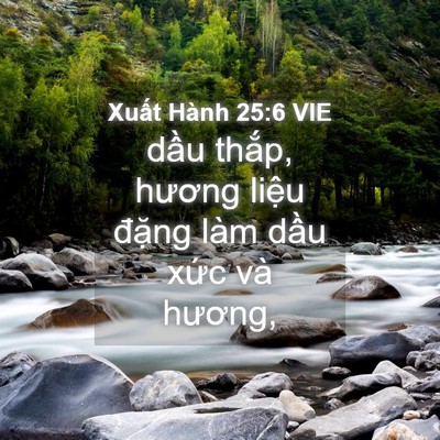 Picture 04 - Xuất Hành 25:6 VIE - dầu thắp, hương liệu đặng làm dầu - Bible Verse Picture