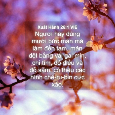 Picture 04 - Xuất Hành 26:1 VIE - Ngươi hãy dùng mười bức màn mà làm - Bible Verse Picture