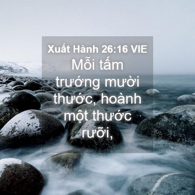 Picture 04 - Xuất Hành 26:16 VIE - Mỗi tấm trướng mười thước, hoành - Bible Verse Picture