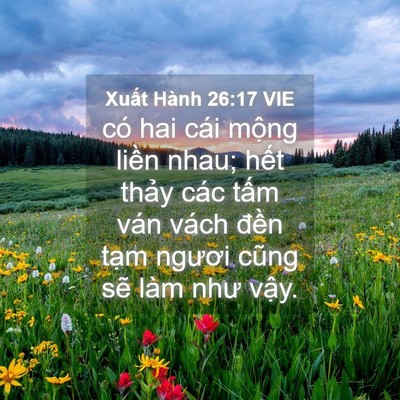 Picture 04 - Xuất Hành 26:17 VIE - có hai cái mộng liền nhau; hết thảy - Bible Verse Picture