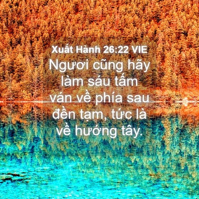 Picture 04 - Xuất Hành 26:22 VIE - Ngươi cũng hãy làm sáu tấm ván về - Bible Verse Picture