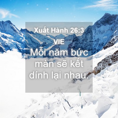 Picture 04 - Xuất Hành 26:3 VIE - Mỗi năm bức màn sẽ kết dính lại - Bible Verse Picture
