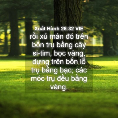 Picture 04 - Xuất Hành 26:32 VIE - rồi xủ màn đó trên bốn trụ bằng - Bible Verse Picture