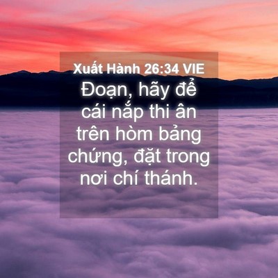 Picture 04 - Xuất Hành 26:34 VIE - Đoạn, hãy để cái nắp thi ân trên hòm - Bible Verse Picture