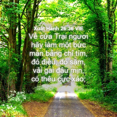 Picture 04 - Xuất Hành 26:36 VIE - Về cửa Trại ngươi hãy làm một bức - Bible Verse Picture