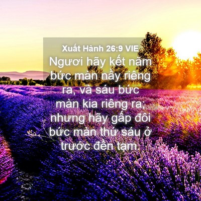 Picture 04 - Xuất Hành 26:9 VIE - Ngươi hãy kết năm bức màn nầy riêng - Bible Verse Picture