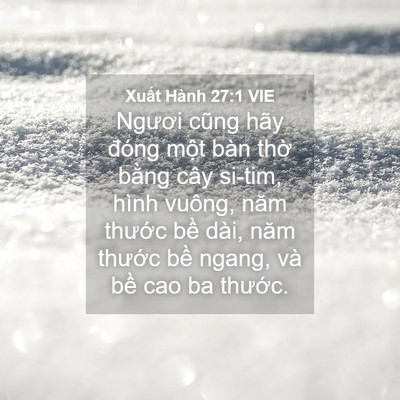 Picture 04 - Xuất Hành 27:1 VIE - Ngươi cũng hãy đóng một bàn thờ bằng - Bible Verse Picture