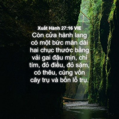 Picture 04 - Xuất Hành 27:16 VIE - Còn cửa hành lang có một bức màn dài - Bible Verse Picture