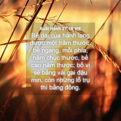 Picture 04 - Xuất Hành 27:18 VIE - Bề dài của hành lang được một trăm - Bible Verse Picture