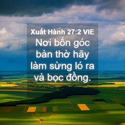 Picture 04 - Xuất Hành 27:2 VIE - Nơi bốn góc bàn thờ hãy làm sừng ló - Bible Verse Picture
