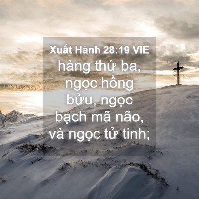 Picture 04 - Xuất Hành 28:19 VIE - hàng thứ ba, ngọc hồng bửu, ngọc - Bible Verse Picture