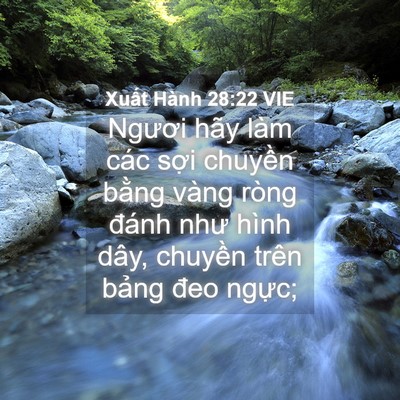 Picture 04 - Xuất Hành 28:22 VIE - Ngươi hãy làm các sợi chuyền bằng - Bible Verse Picture
