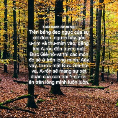 Picture 04 - Xuất Hành 28:30 VIE - Trên bảng đeo ngực của sự xét đoán, - Bible Verse Picture