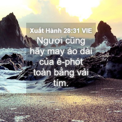 Picture 04 - Xuất Hành 28:31 VIE - Ngươi cũng hãy may áo dài của ê-phót - Bible Verse Picture