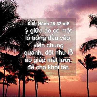 Picture 04 - Xuất Hành 28:32 VIE - ỳ giữa áo có một lỗ tròng đầu vào; - Bible Verse Picture